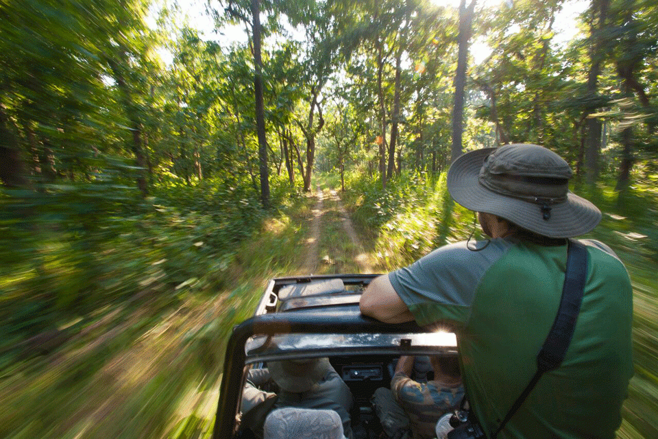 jeep safari